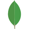 MongoDB